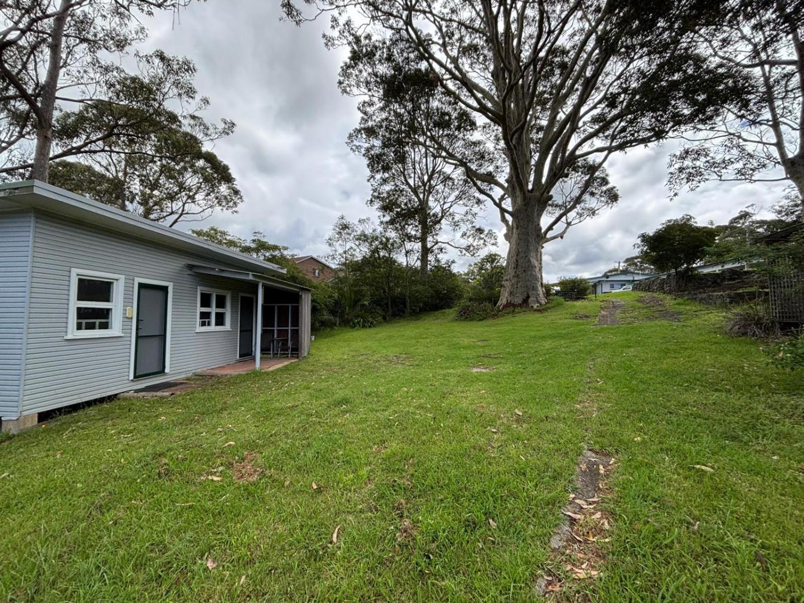 The Tree Motel Narooma Luaran gambar